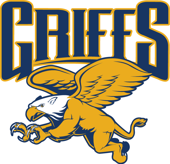 Canisius Golden Griffins 2006-Pres Alternate Logo v2 diy DTF decal sticker`